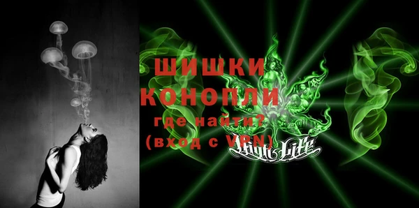 ешки Новозыбков