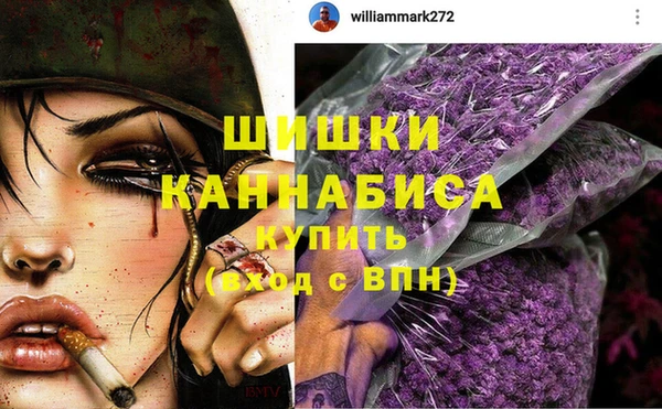 стафф Няндома