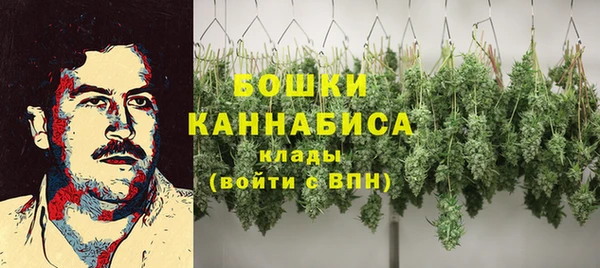 ешки Новозыбков