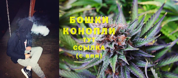 ешки Новозыбков