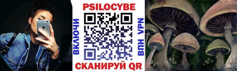 сколько стоит  Межгорье  Псилоцибиновые грибы Psilocybine cubensis 